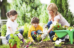 Five Tips for Planning a Bountiful Veggie Garden.