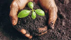 A Healthy Garden Starts Before Planting.