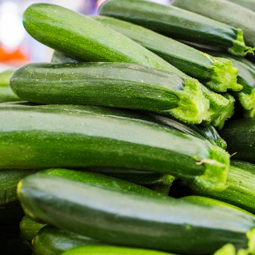 Emerald Zucchini Plants | Two Live Plants | Non-GMO | High-Yield, Tender, Compact Variety, Perfect for Grilling and Sautéing