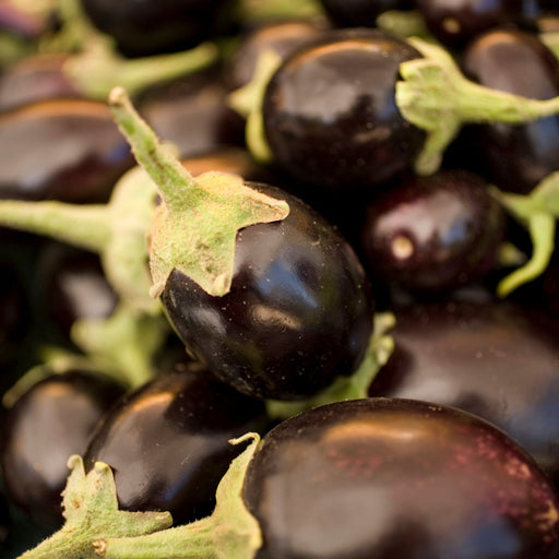 Eggplant Patio Baby | Two Live Plants | Non-GMO | Mini Fruit, High Yield, Compact