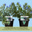 Evolvulus Beach Bum Blue | Two Live Plants | Non-GMO | Sky-Blue Blooms, Gently Trailing, Heat & Drought Tolerant Annual