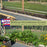 Emerald Zucchini Plants | Two Live Plants | Non-GMO | High-Yield, Tender, Compact Variety, Perfect for Grilling and Sautéing