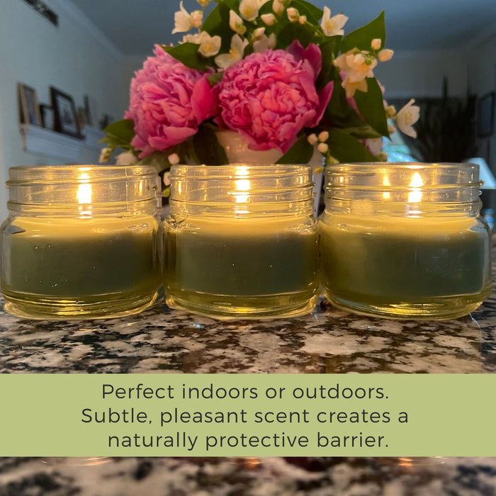 Mosquito Repellent Candle Natural Eucalyptus | 3 Oz Each, Set of 3 | Soy-Base, Infused with Essential Oils | Made in USA