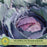 Cabbage Red Jewel | Two Live Plants | Non-GMO | Vibrant Red-Purple Heads | Crisp, Sweet & Easy to Grow