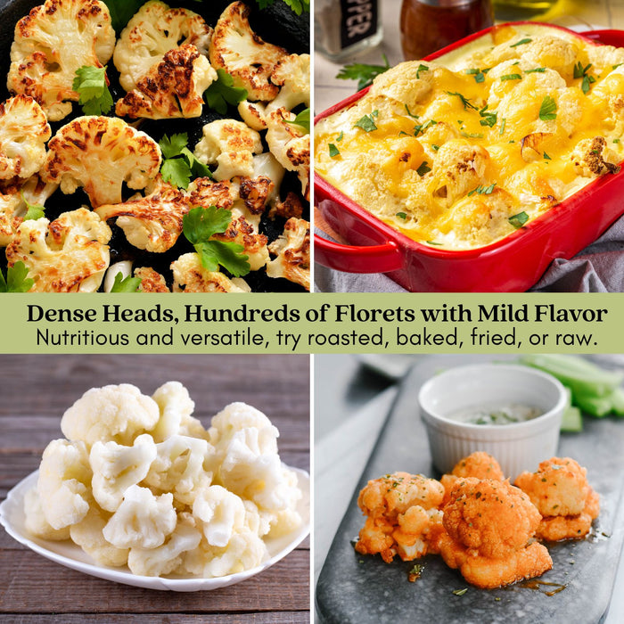 Cauliflower Amazing! | Two Live Plants | Non-GMO | Large White Heads | Crisp, Delicious & Easy to Grow