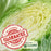 Cabbage Early Jersey Wakefield | Two Live Plants | Non-GMO | Heirloom | Early Harvest, Sweet & Tender