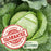 Cabbage Golden Acre Resistant | Two Live Plants | Non-GMO | Early Harvest | Sweet, Crisp & Disease Resistant