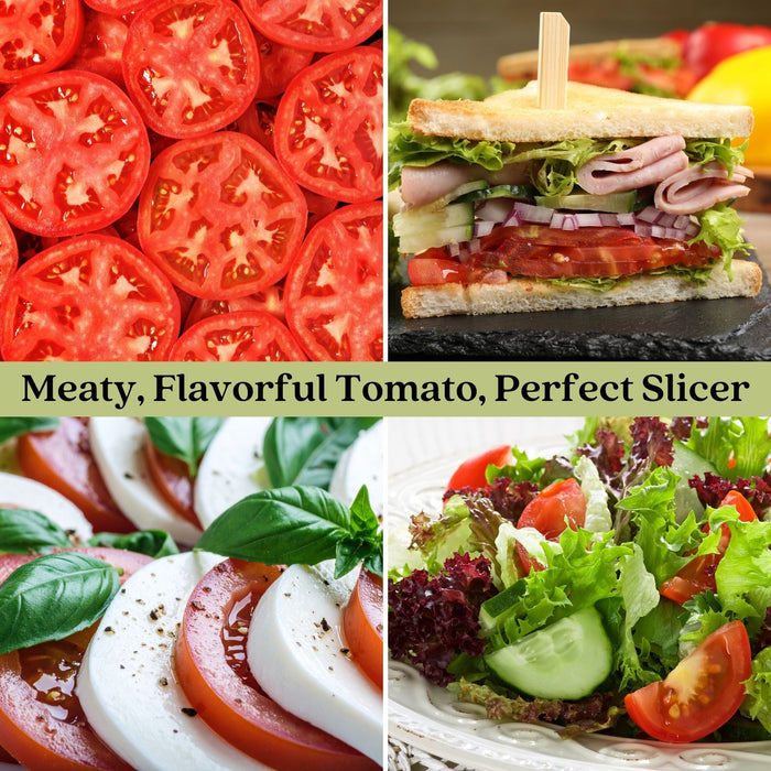 Big Boy Tomato Plants | Two Live Garden Plants | Non-GMO, Great Canner & Slicer