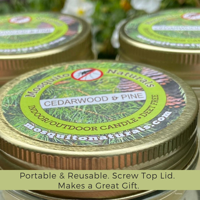 Mosquito Repellent Candle Natural Cedarwood & Pine | 3 Oz. Each, Set of 3 | Soy-Base, Infused with Essential Oils | Made in USA