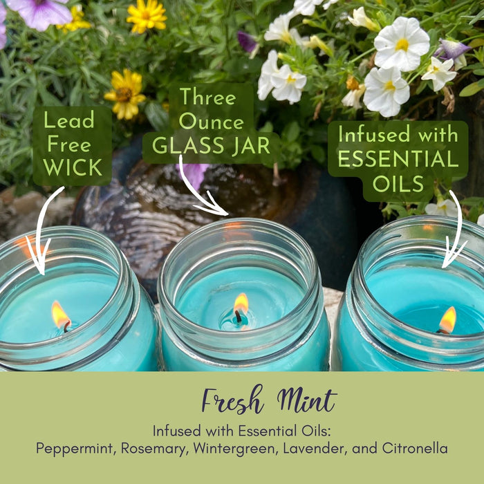 Mosquito Repellent Candle Natural Fresh Mint | 3 Oz. Each, Set of 3 | Soy-Base, Turquoise | Made in USA