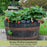 Toscana Strawberry Plant | Two Live Garden Plants | Non-GMO, Day-Neutral Variety, Deep Pink Blossoms