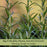 Barbeque Rosemary | Two Live Herb Plants | Non-GMO, Strong Stems, Dries Well