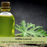 Mosquito Defense Duo — 4 Live Citronella & Lemongrass Plants