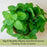 Strawberry Mojito Garden — 6 Live Plants for Your Summer Patio
