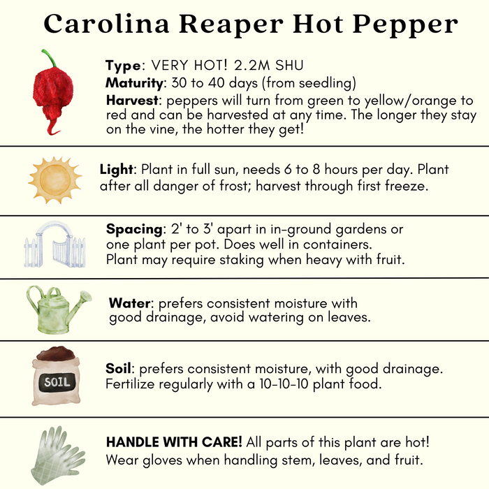 Hot Pepper Inferno — 6 Live Plants: Carolina Reaper, Trinidad Scorpion & Ghost Pepper