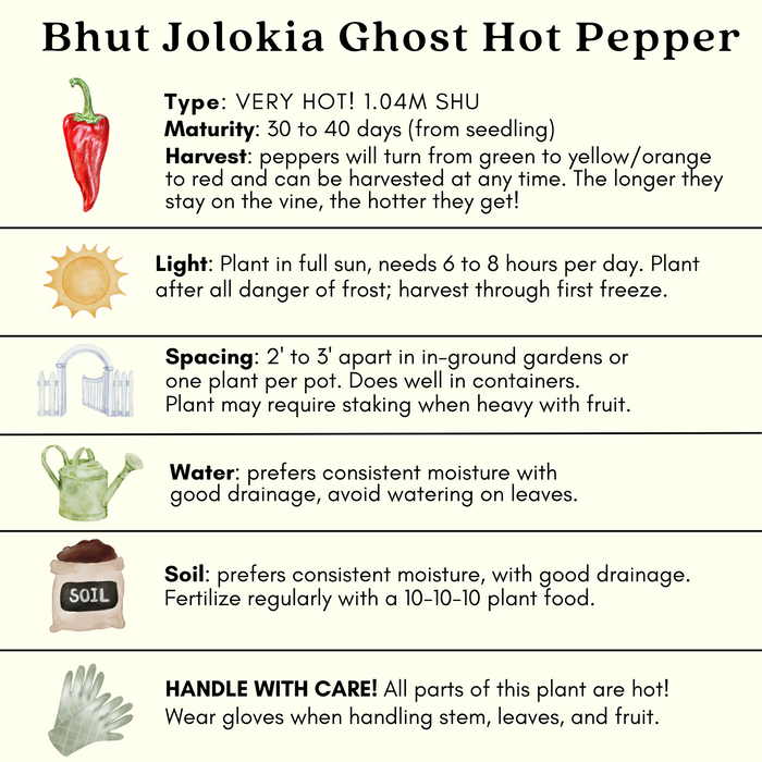 Hot Pepper Inferno — 6 Live Plants: Carolina Reaper, Trinidad Scorpion & Ghost Pepper