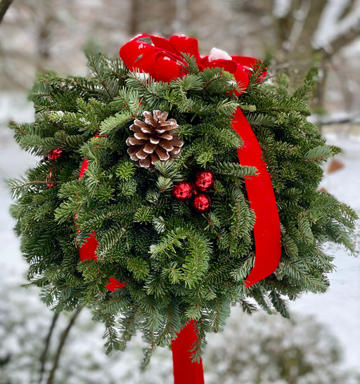 Clovers Garden 14” Live Fresh Fraser Fir Kissing Ball – Handmade Holiday Decoration with Velvet Bow, Frosted Pinecones, and Ornaments – Perfect Indoor or Outdoor Christmas Decor