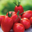 Super Sauce roma tomatoes — harvested fruit