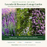 Lavender & Rosemary Cottage Garden — 2 Hidcote Lavender, 2 Trailing Rosemary and 2 Creeping Lemon Thyme live plants