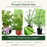 Mosquito Defense Duo — 4 plants total: 2 Citronella Geranium and 2 Lemongrass in one box