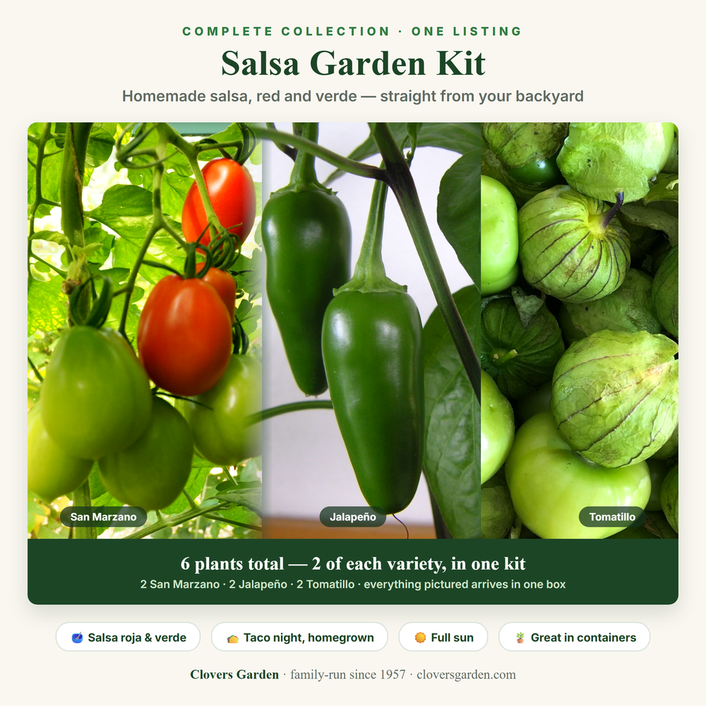 Salsa Garden Kit — 2 San Marzano, 2 Jalapeño and 2 Tomatillo live plants