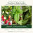 Strawberry Mojito Garden — 2 Everbearing Strawberry, 2 Spearmint and 2 Sweet Basil live plants