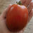 Super Sauce Tomato Plants | Two Live Plants | Non-GMO | Giant Paste Tomato, Thick Meaty Flesh, Perfect for Sauce & Canning
