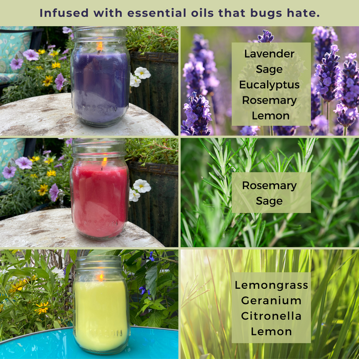 Mosquito Repellent Candle Natural Rainbow Bundle | 12 Oz. Each, Set of 3 Multi-Scent | Soy-Base, Lavender, Rosemary & Sage, Lemongrass | Made in USA