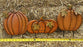 Fall Outdoor Pumpkin Decorations | Set of 3 | Metal, Painted Stakes, Rustic Farmhouse Look
