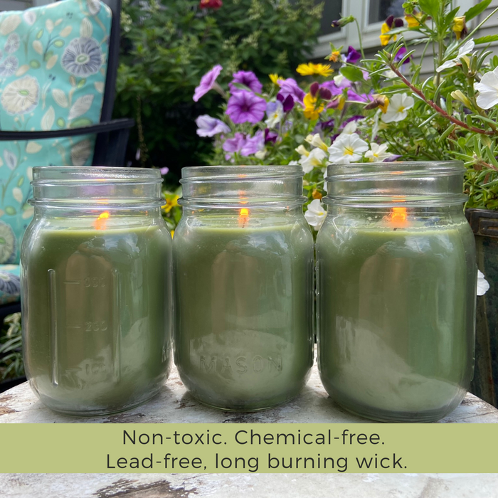 Mosquito Repellent Candle Natural Tea Tree | 12 Oz. Each, Set of 3