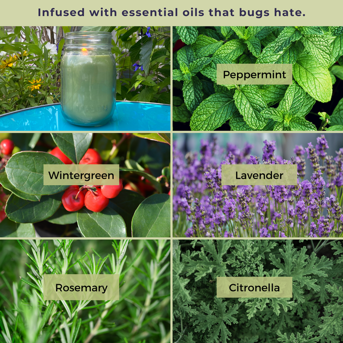 Essential oil discount that repels mosquitoes