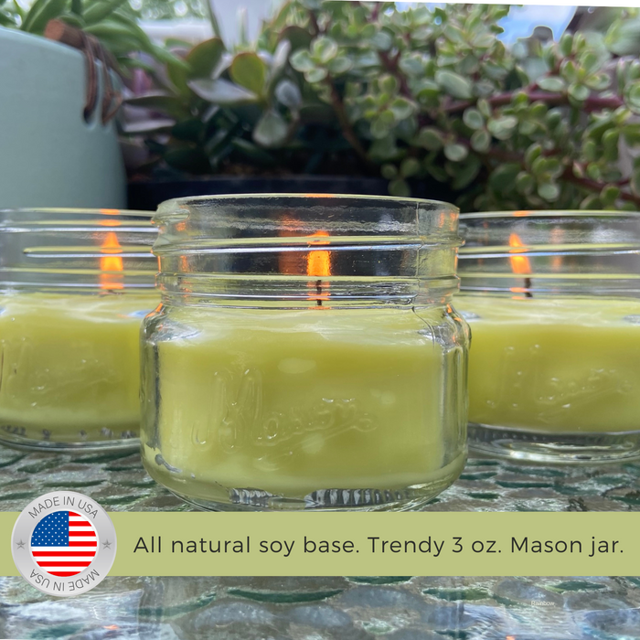 Mosquito Repellent Candle Natural Lemongrass Summer Sunshine | 3 Oz. Each, Set of 3 | Soy-Base, Lemongrass | Made in USA