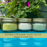Mosquito Repellent Candle Natural Spa | 3 Oz., Set of 3 Multi-Scent | Soy-Base, Cedarwood & Pine, Eucalyptus, Lemongrass | Made in USA