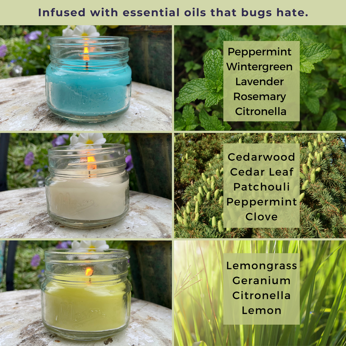 Mosquito Repellent Candle Natural Beachcomber Collection | 3 Oz Ea, Set of 3 Multi-Scent | Soy-Base, Cedarwood & Pine, Lemongrass, Fresh Mint | Made in USA