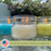 Mosquito Repellent Candle Natural Beachcomber Collection | 3 Oz Ea, Set of 3 Multi-Scent | Soy-Base, Cedarwood & Pine, Lemongrass, Fresh Mint | Made in USA