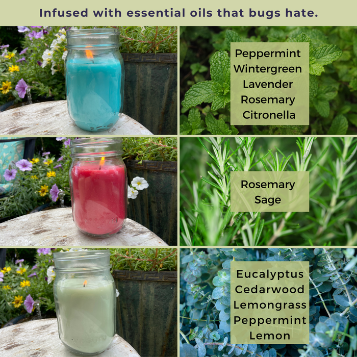 Mosquito Repellent Candle Natural Backyard Boho | 12 Oz. Each, Set of 3 Multi-Scent | Soy-Base, Rosemary & Sage, Fresh Mint, Eucalyptus | Made in USA