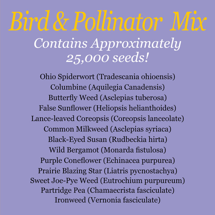 Bird & Pollinator Native Wildflower Seed Mix & Insect House | 13,000 Seeds, Non-GMO, Non-GE, All Perennial, No Filler