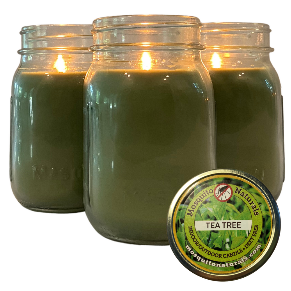 Mosquito Repellent Candle Natural Tea Tree | 12 Oz. Each, Set of 3