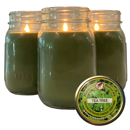 Mosquito Repellent Candle Natural Tea Tree | 12 Oz. Each, Set of 3 | Soy-Base, Infused with Essential Oils | Made in USA