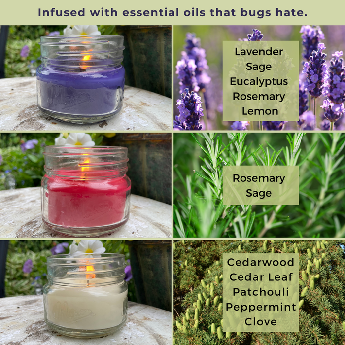 Mosquito Repellent Candle Natural Northern Lights Collection | 3 Oz, Set of 3 Multi-Scent | Soy-Base, Rosemary Sage, Cedarwood Pine, Lavender | Made in USA