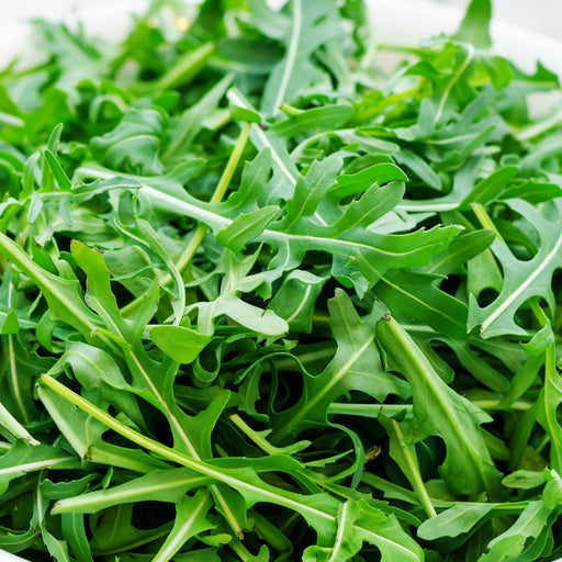 Arugula | Two Live Garden Plants | Non-GMO, Peppery Herb, Easy to Grow