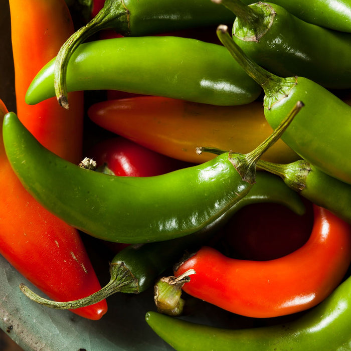 Serrano Hot Pepper Plants | Two Live Plants | Non-GMO, 20K SHU, Small Fruits