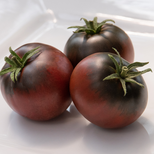 Cherokee Purple Tomato Plants | Two Live Plants |  Non-GMO, Heirloom Beefsteak