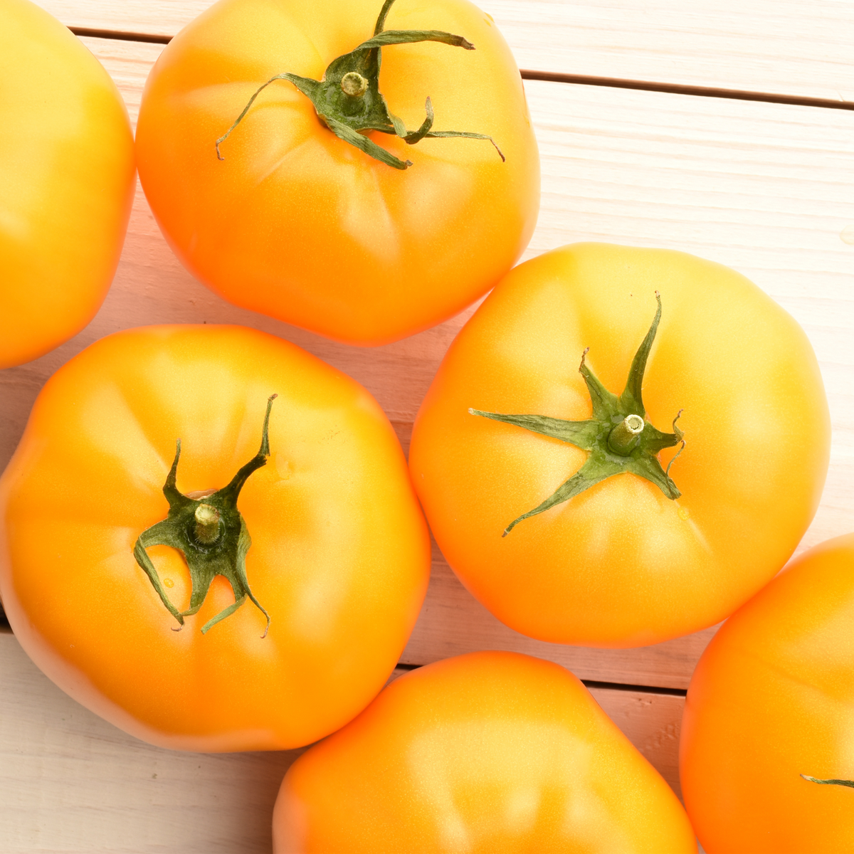 Lemon Boy Tomato Plants Two Live Garden Plants Non GMO Globe