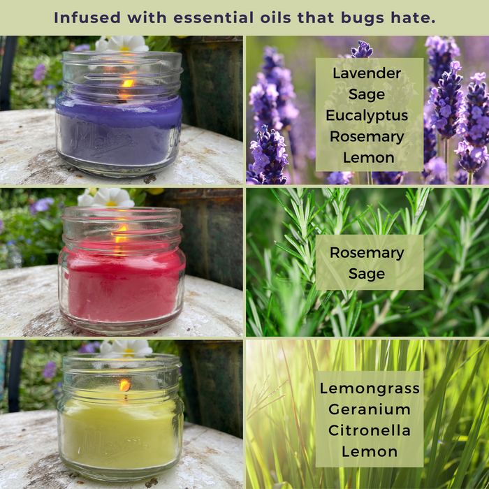 Mosquito Repellent Candle Natural Rainbow Collection | 3 Oz., Set of 3 Multi-Scent | Soy-Base, Lavender, Rosemary & Sage, Lemongrass | Made in USA