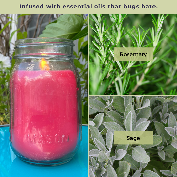 Mosquito Repellent Candle Natural Rosemary & Sage | 12 Oz., Set of 3 | Soy-Base, Infused with Essential Oils | Made in USA