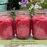 Mosquito Repellent Candle Natural Rosemary & Sage | 12 Oz., Set of 3 | Soy-Base, Infused with Essential Oils | Made in USA