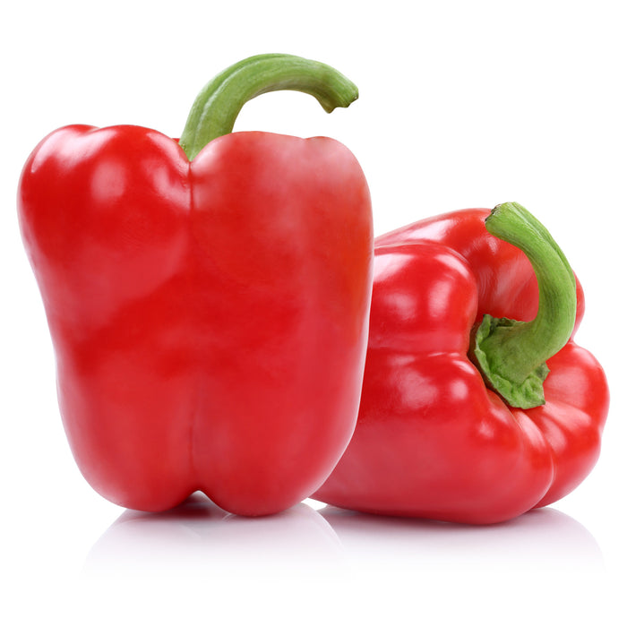 Red Bell Pepper |  Two Live Garden Plants | Non-GMO, Sweet, Early Producer