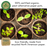 Veggie Garden Favorites Grow Kit | 725 Seeds, 29 Varieties + 60 Organic EcoPaper Seed Pots | Non-GMO, Resealable Bags, Peat-Alternative