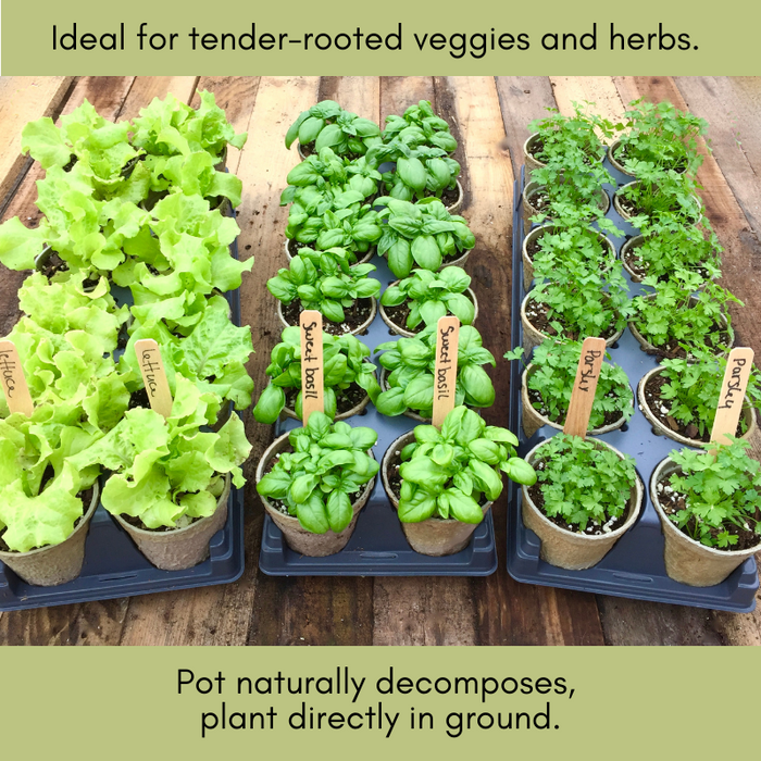 Veggie Garden Favorites Grow Kit | 725 Seeds, 29 Varieties + 60 Organic EcoPaper Seed Pots | Non-GMO, Resealable Bags, Peat-Alternative